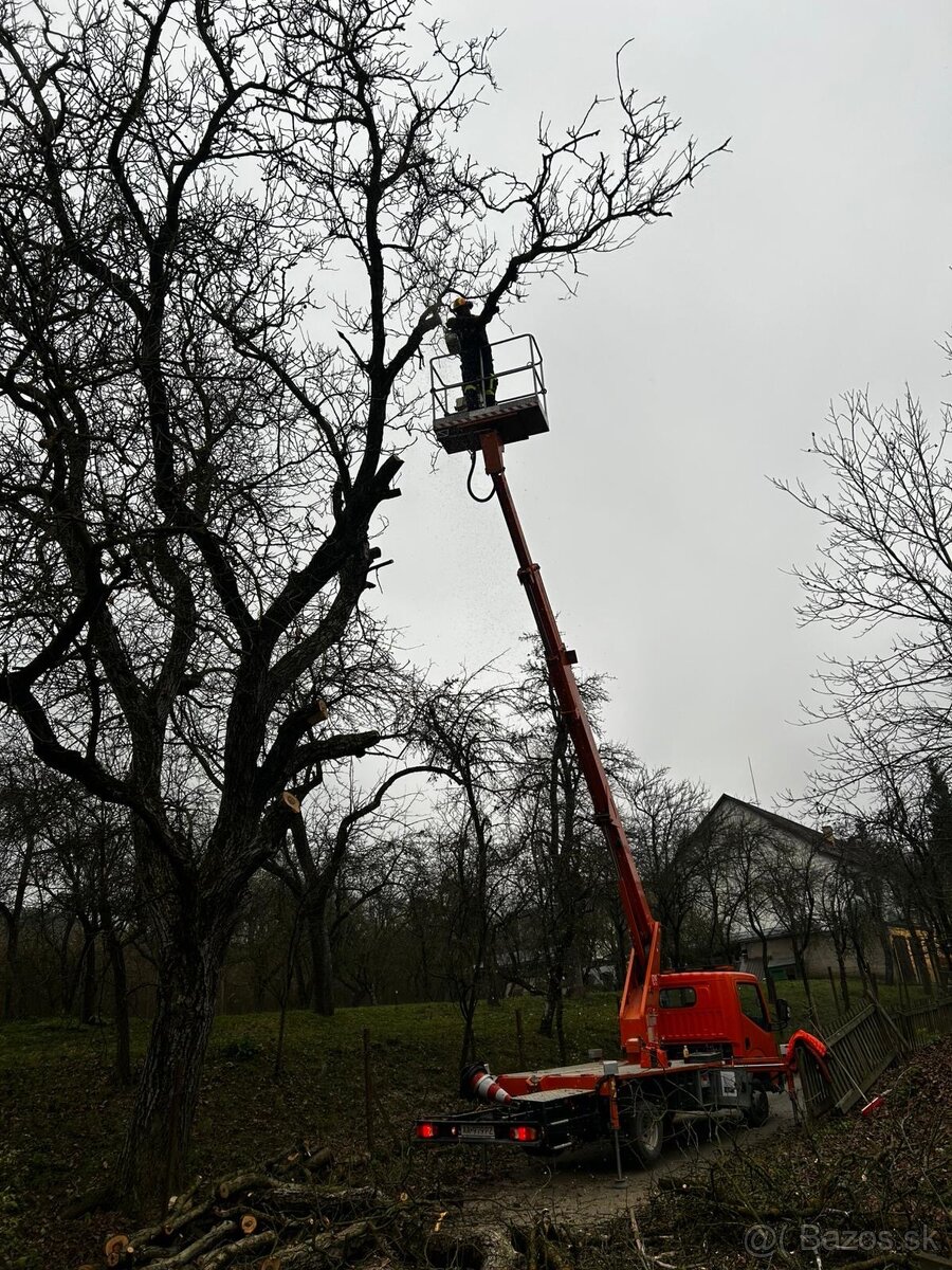 Pílenie stromov - 7