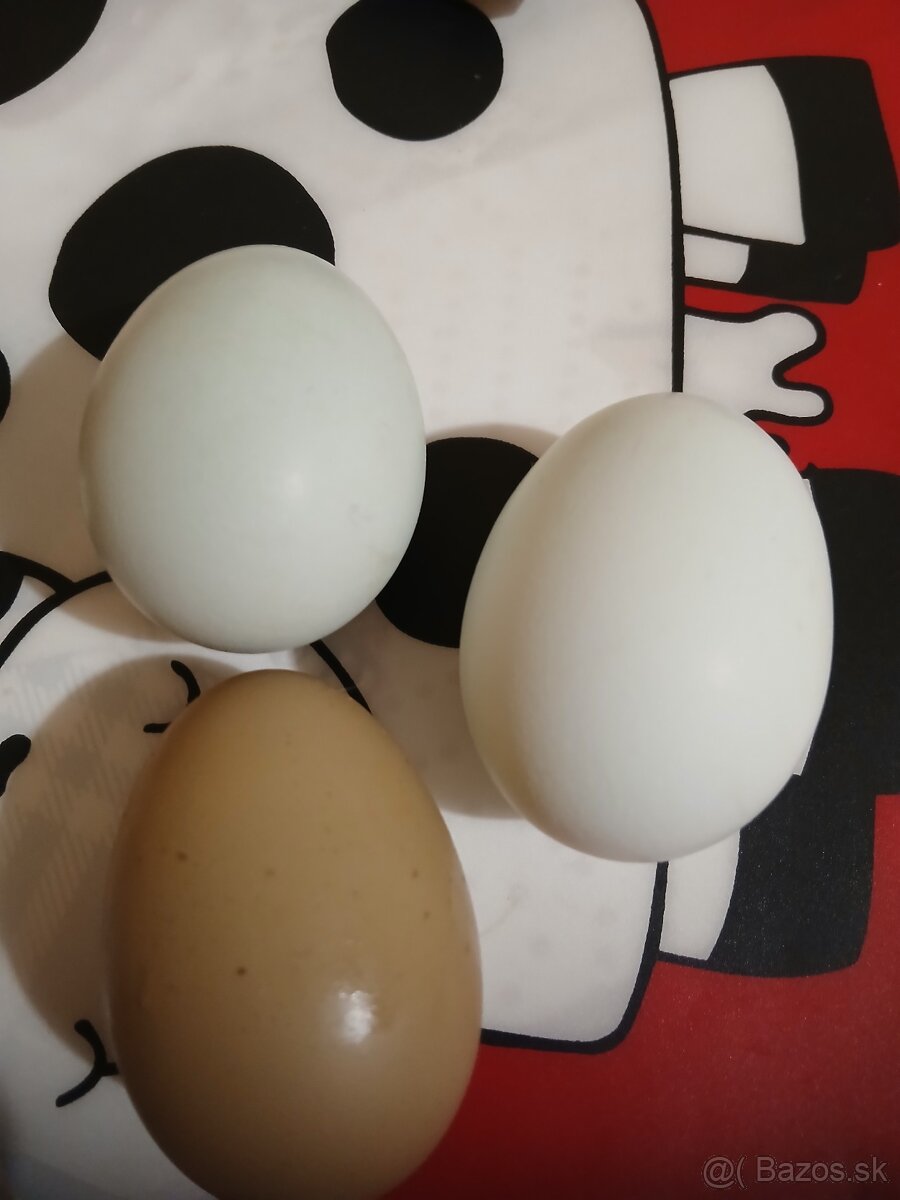 Nasadove vajicka domaci mix - 7
