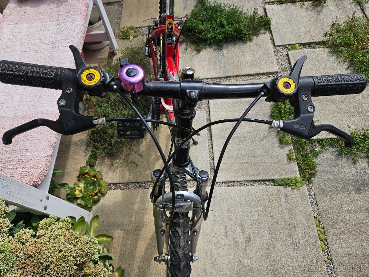 Dievčenský bike Vector Mirage - 7