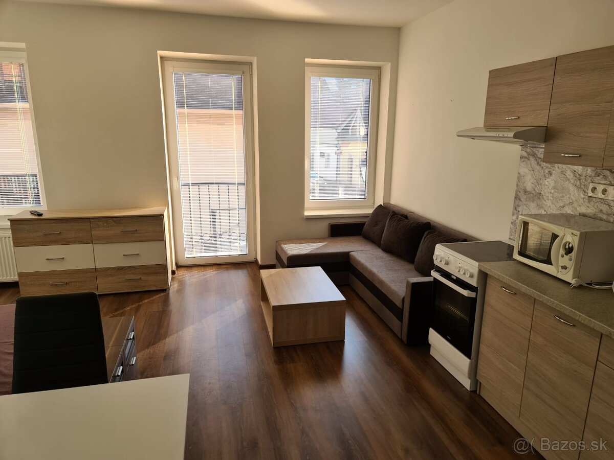 1 izb byt prenajom - 7
