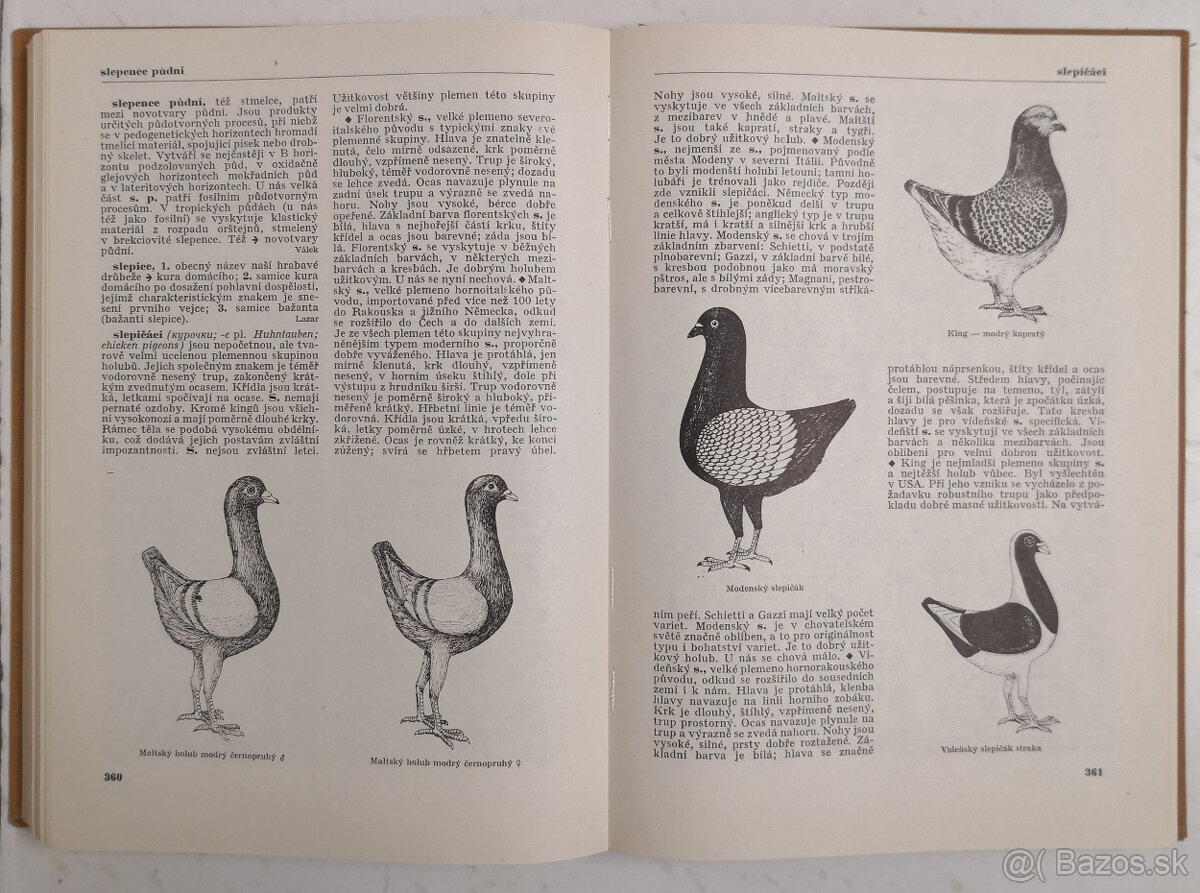 Naučný slovník zemědělský 9 - 7