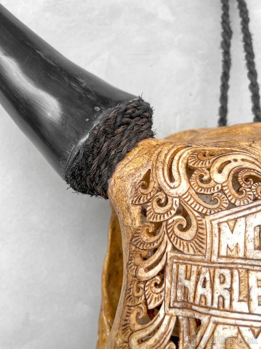 Ručne vyrezávaná lebka býka Harley Davidson, 54cm - 7