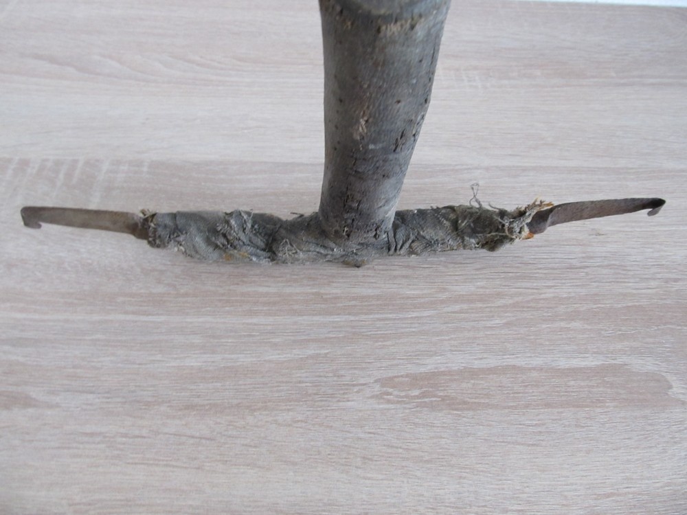 Predám starý cca 95 ročný " pahovník" - 7