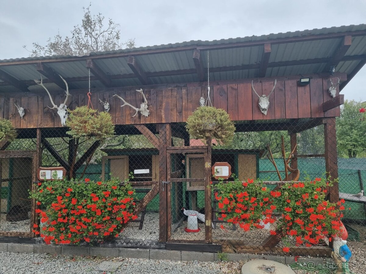 Voliery , klietky - 7