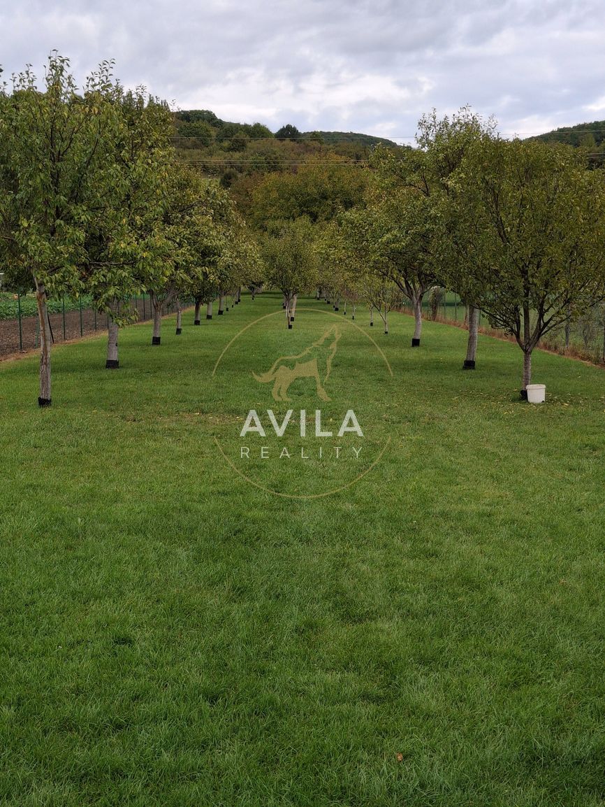 Na predaj rodinný dom – Moravské Lieskové, časť Brestové - 7