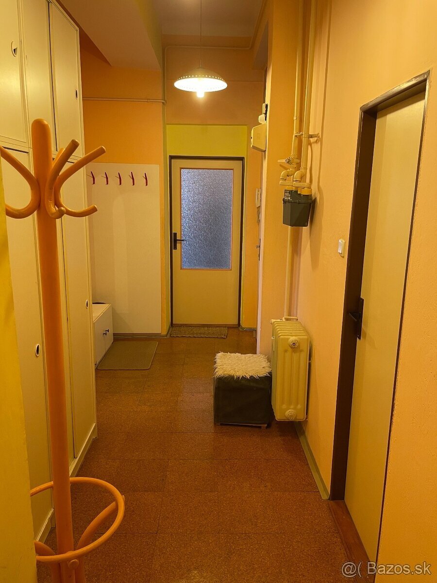 Prenajom velkeho 2 izboveho bytu - 7