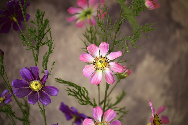 Canon 70-150mm / F4,5 / M42 / FD (adaptér pre EOS EF) - 7