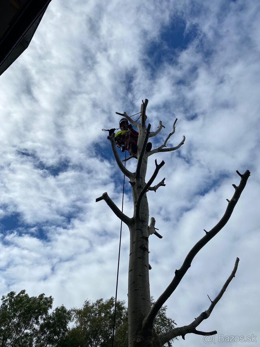 Orazávanie a výrub stromov - 7