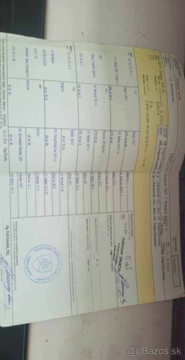 Predám 14 ročnú kobylku shagia arab - 7