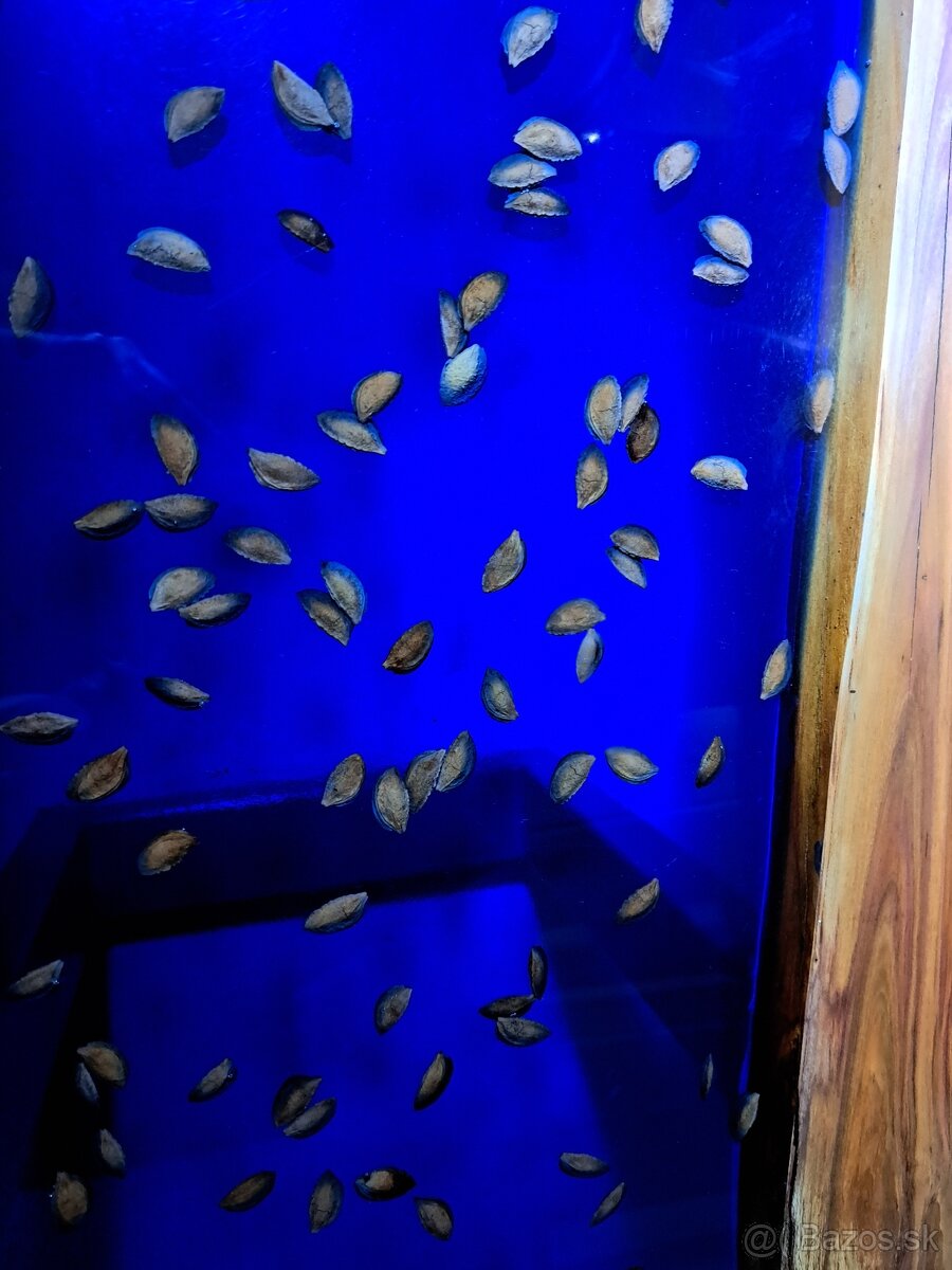 Konferenčný epoxidový stôl - 7