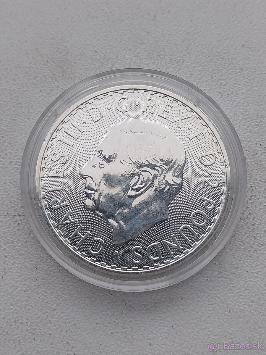 Strieborne investičné mince 1 OZ - 7