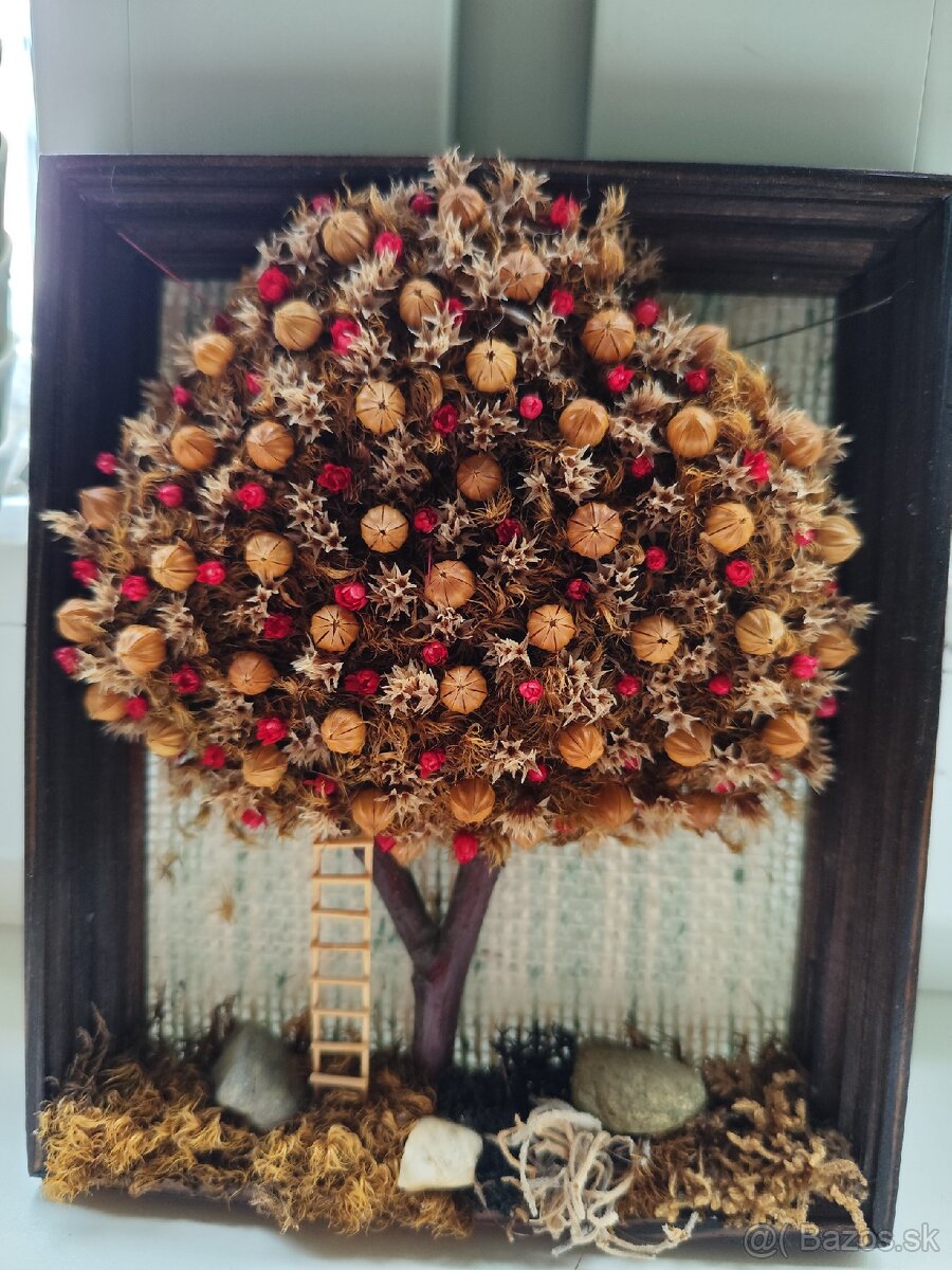 Sušené kvietky v obrazkoch - 7