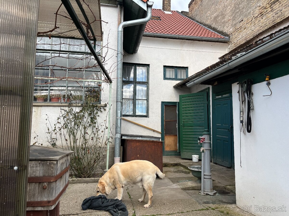 Exkluzívne u nás ( Gombaiho ulica) - 7