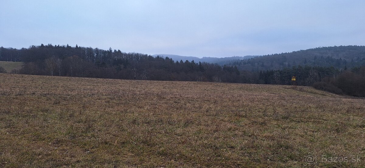 Rekreačný pozemok/orná pôda 3489m2 Holience - 7