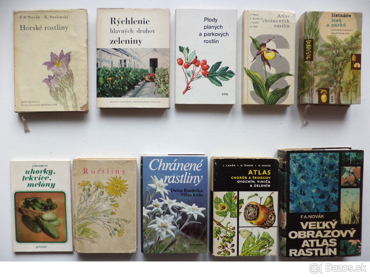 Záhrada, kvety, pestovanie 2 - 7