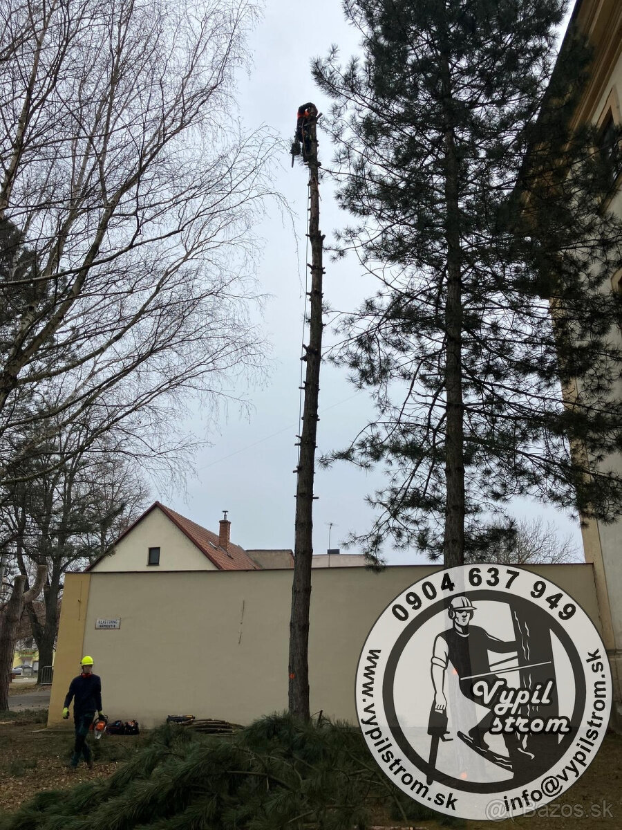 Pilenie a orezavanie stromov, kosenie a udrzba zahrad - 7