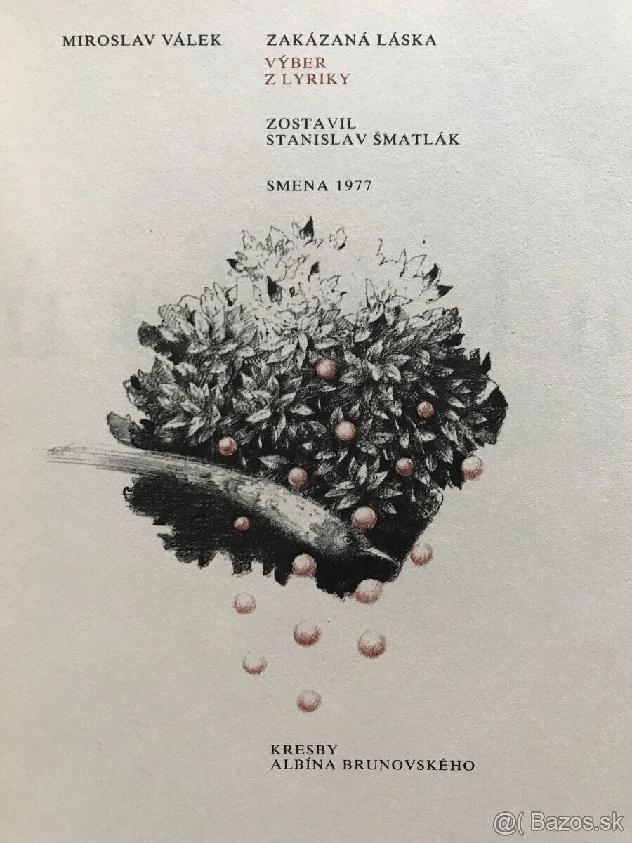 Válek, Štrpka, Ginsberg, Poe, Hemingway, Groch, Krasko - 7