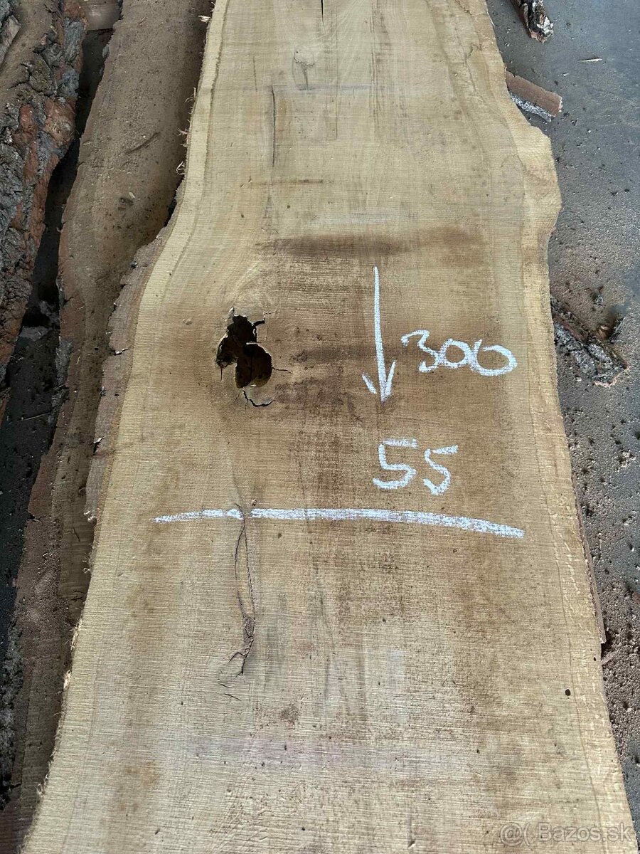 dubové fošne, dub letný, dub - 7