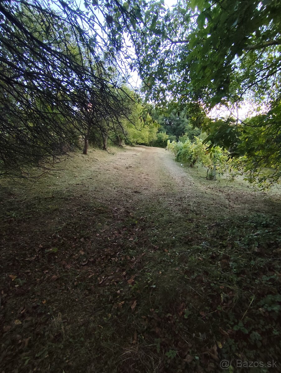 Čistenie a mulčovanie pozemkov, odstraňovanie náletov - 7