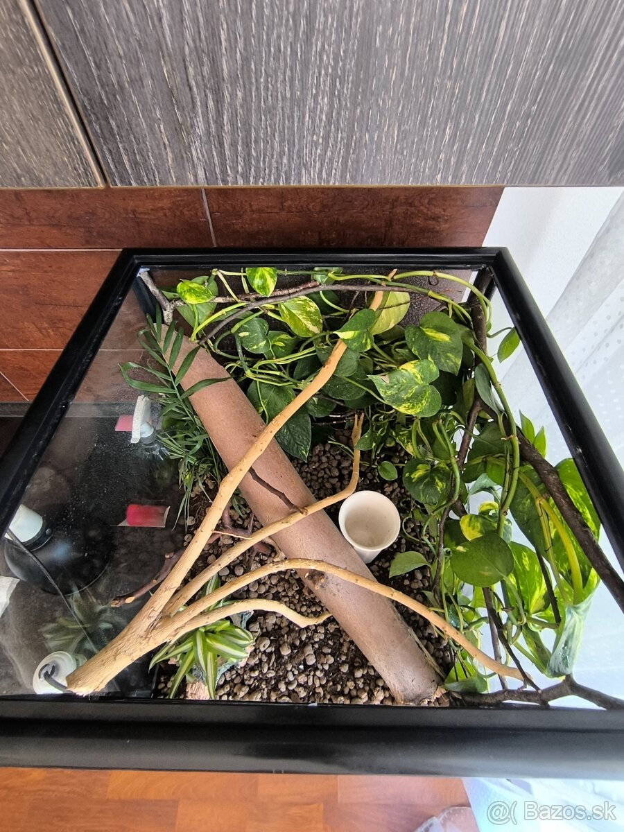 Terarium 46x46x46 - 7
