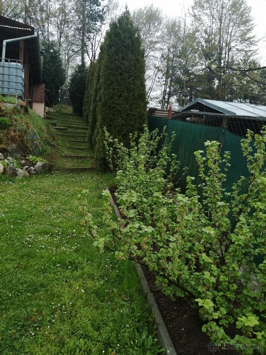 Udržiavaná záhrada s chatkou nad Bagroviskom – 448 m² - 7