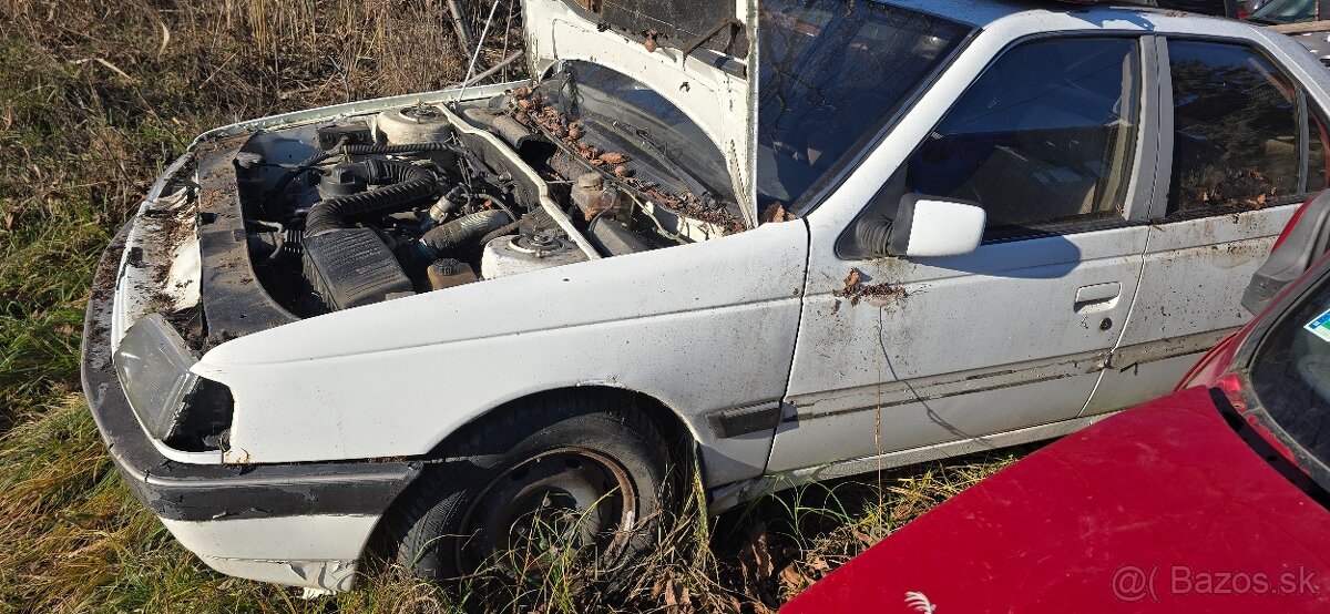 Peugeot 405 4x4 1.9 B - 7