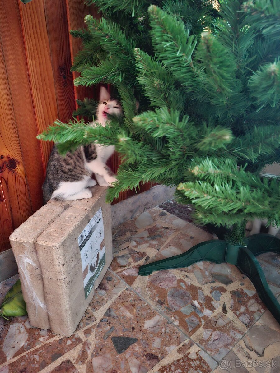 Darujeme maciatka - 7