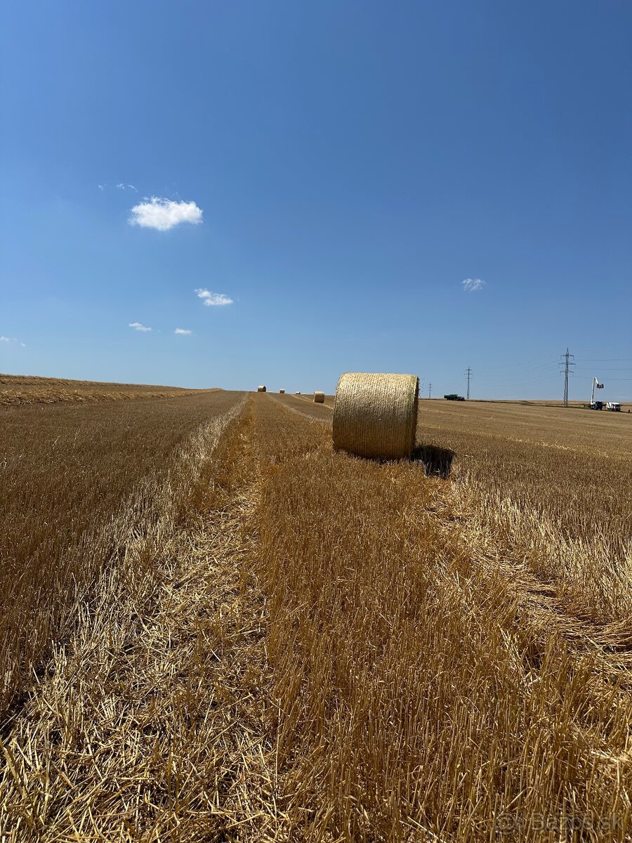 Slama ihneď k odberu - 7