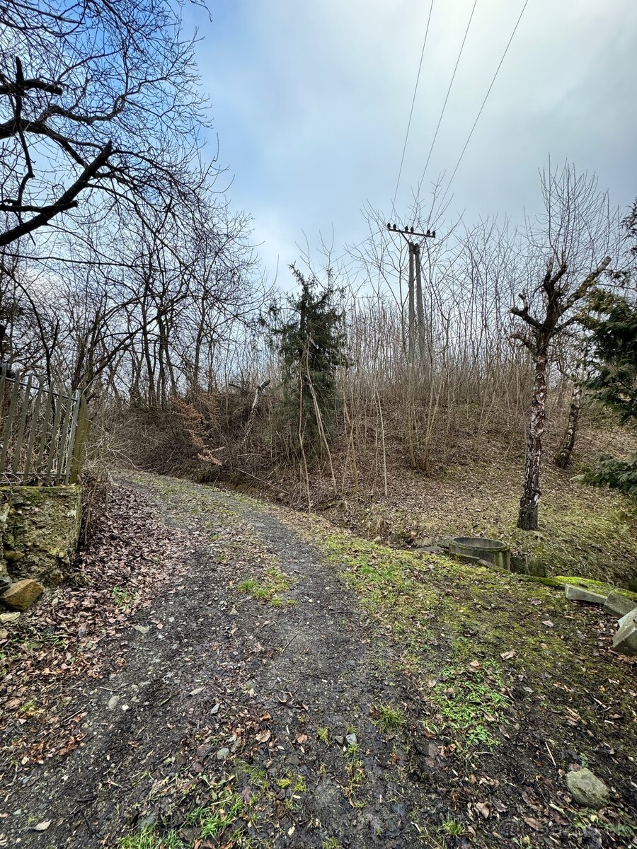 Pozemok (záhrada) na predaj - 7