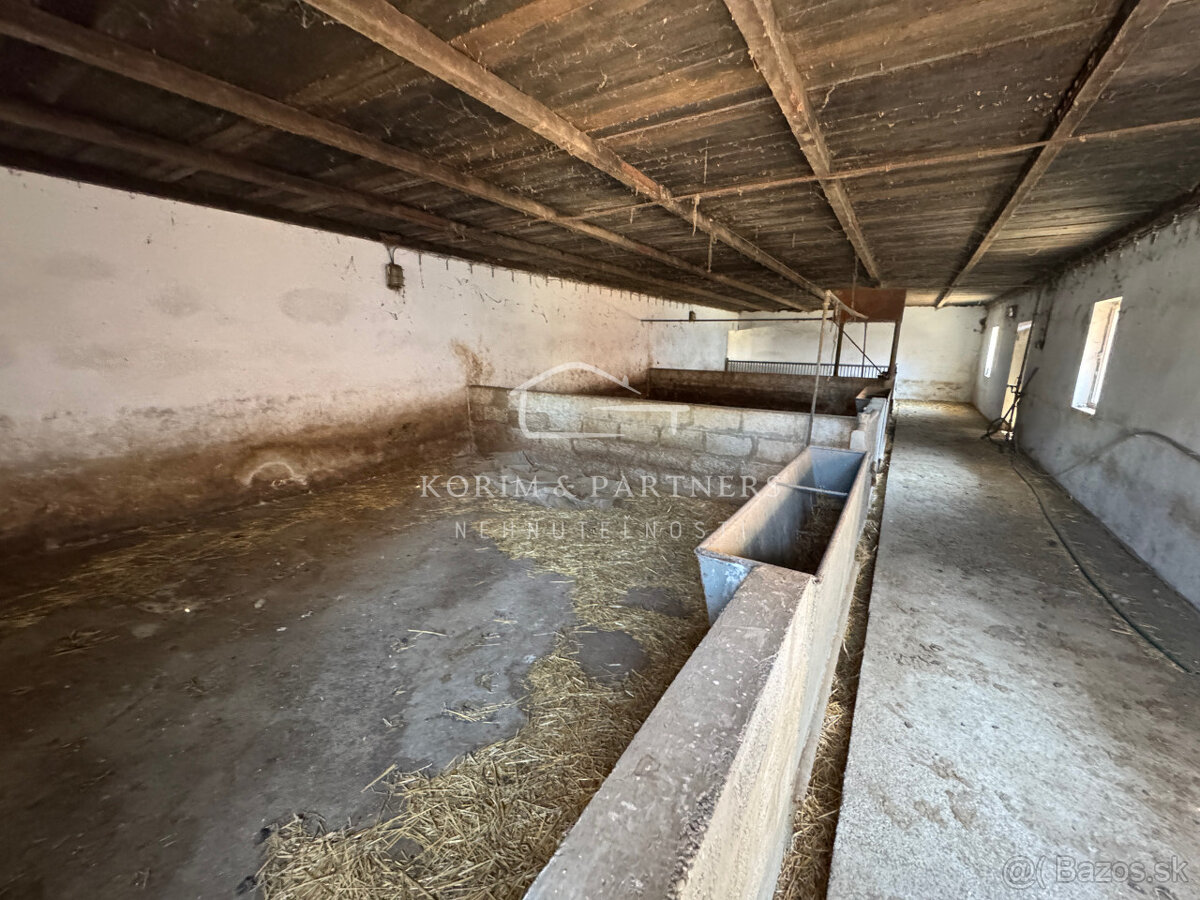 NOVINKA - Rodinná farma na vyše 2,5 hektároch pri Komárne - 7