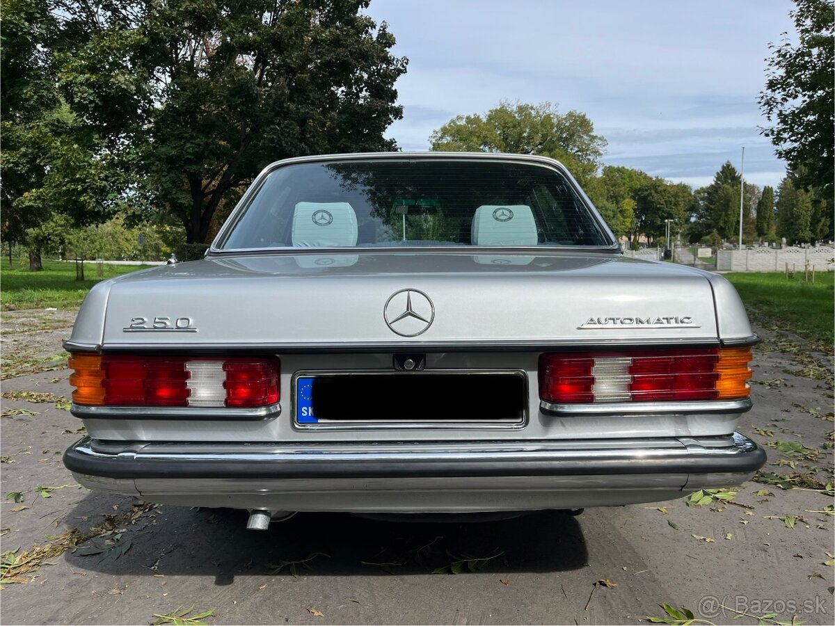 Mercedes Benz W123 - 7