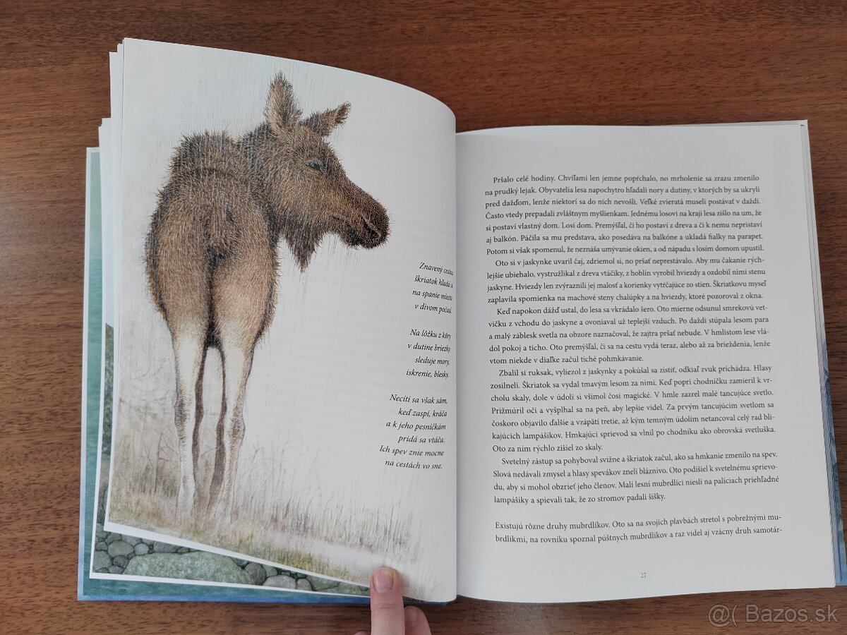 Oto a tajomné vianočné svetlo - NOVÁ - 7