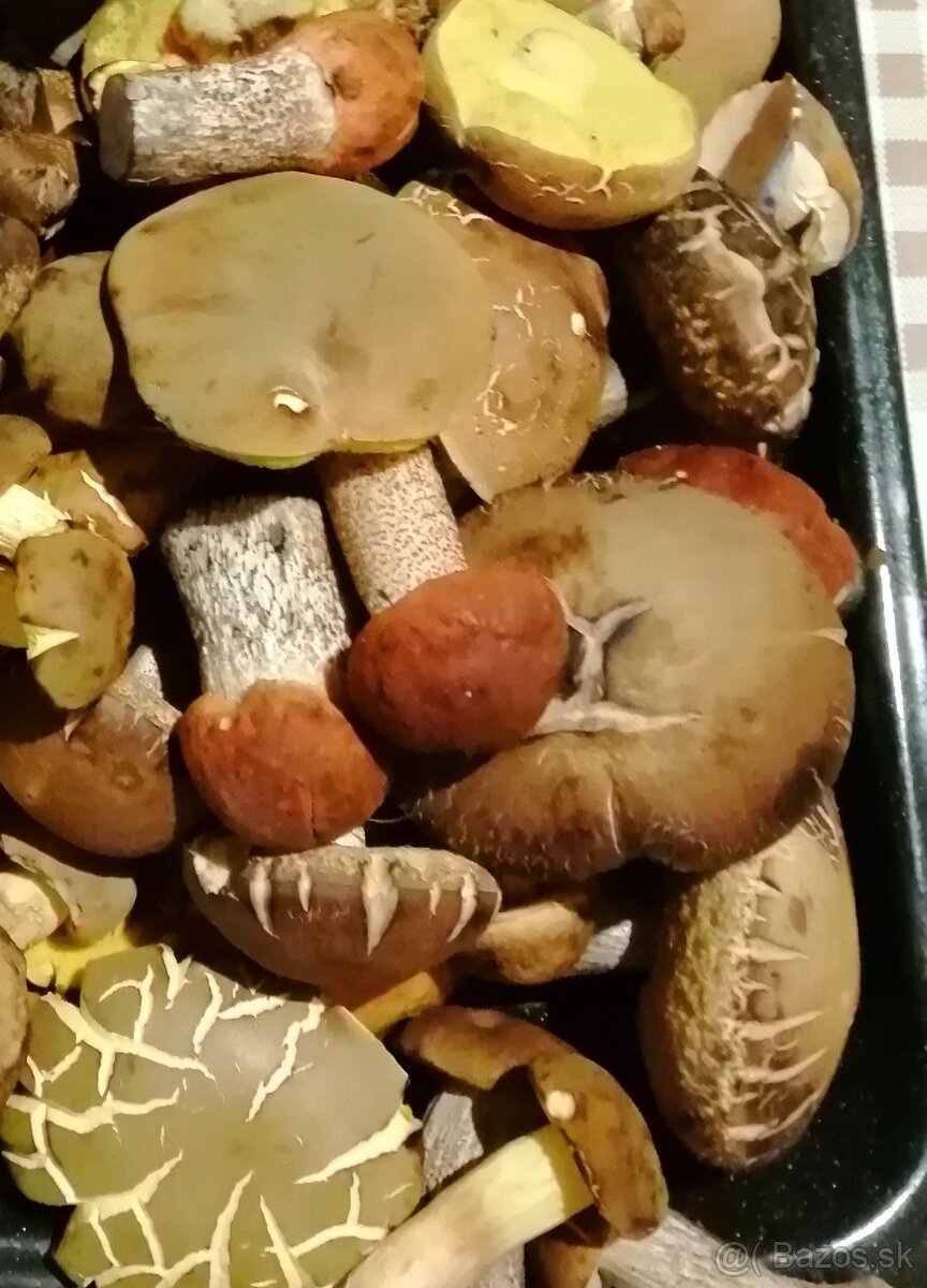 Sušené bylinky 2 - 7