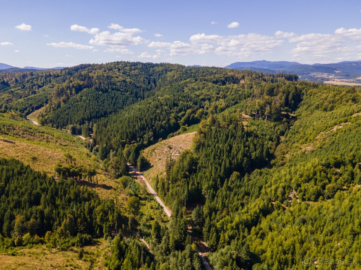 HOSPODÁRSKY LES V OBCI BUDIŠ V OKRESE TURČIANSKE TEPLICE - 7