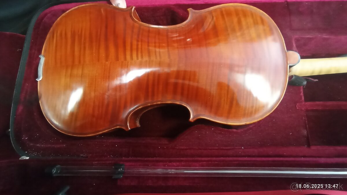 PREDAM OROFESIONALNU VIOLU - 7