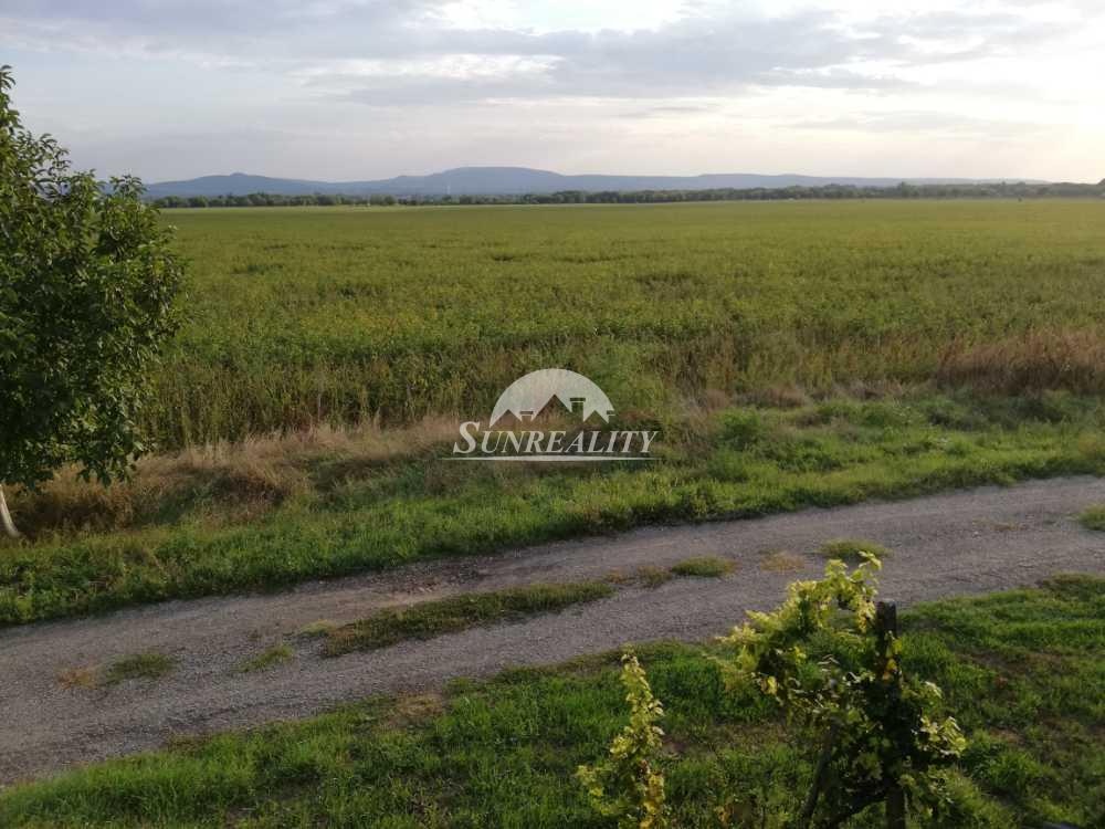 ZNÍŽENÁ CENA LEN U NÁS Predám - Viničný dom s vinohrad - 7