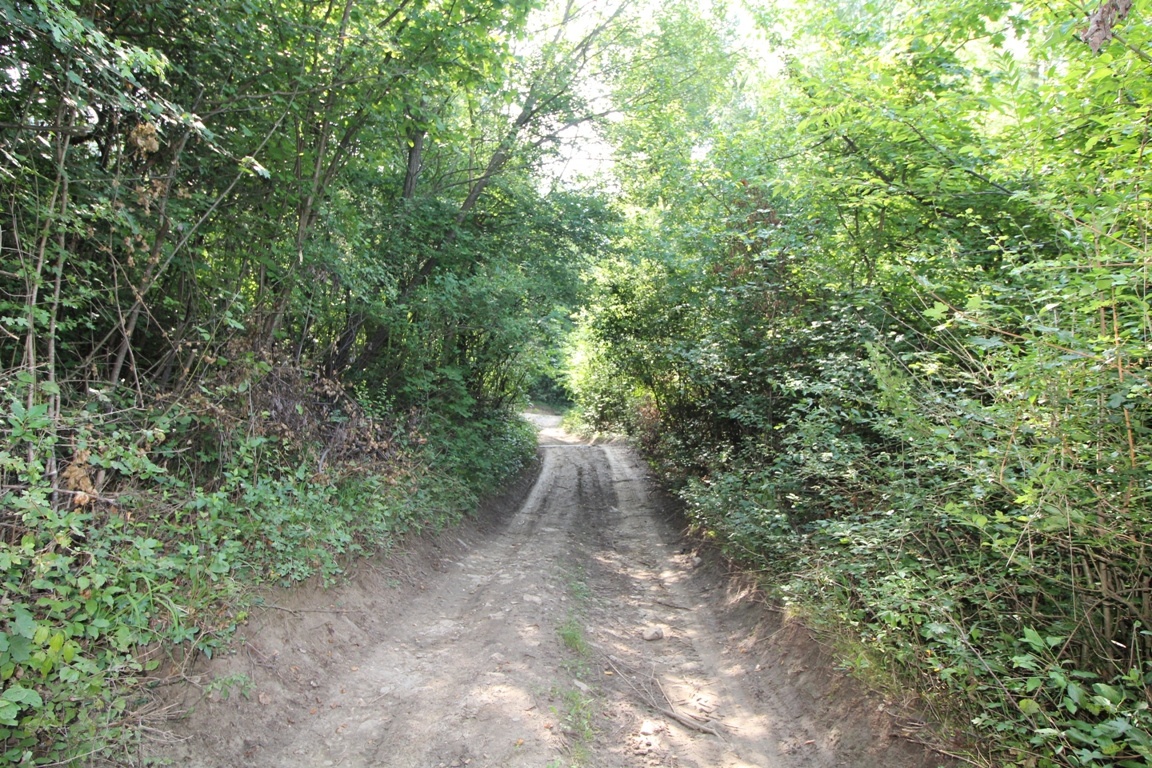 Rekreačný pozemok /1472 m2/, Hlboké nad Váhom - 7