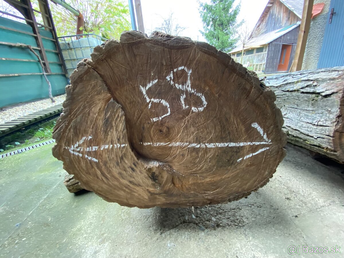 Orechové kmene, guľatina - 7