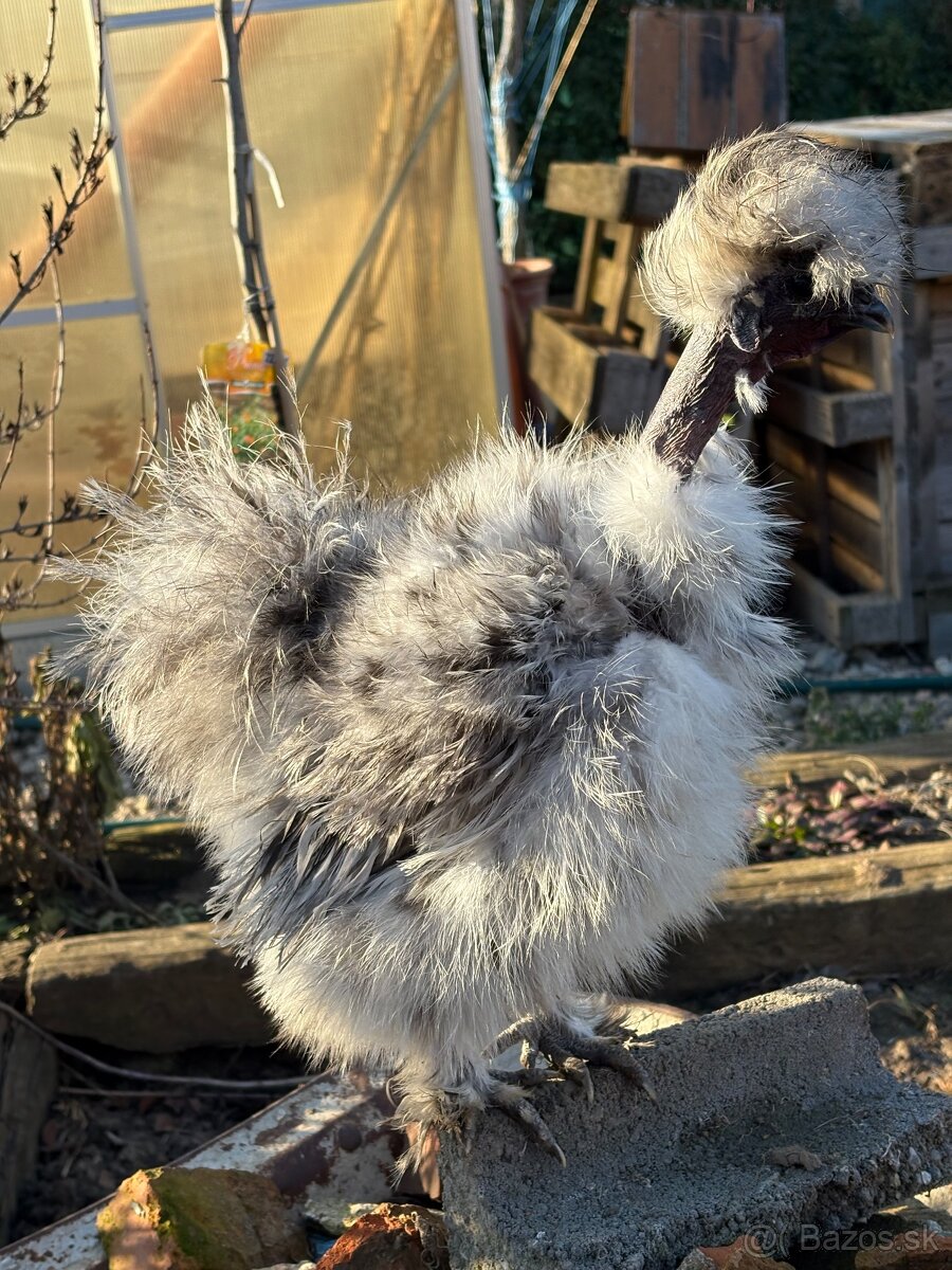 USA-hodvabničky - 7