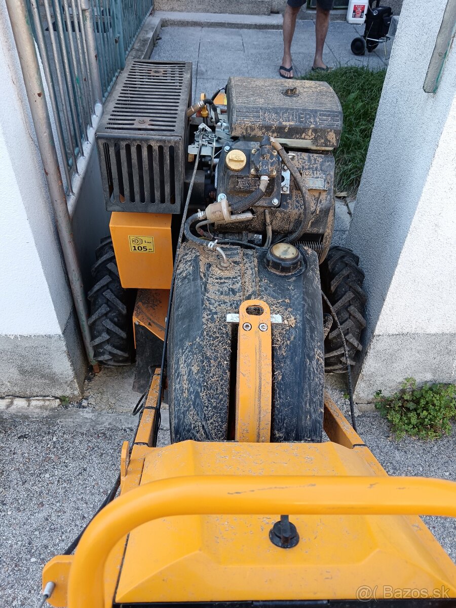 Frézovanie pňov, odstraňovanie pňov, výrub stromov - 7