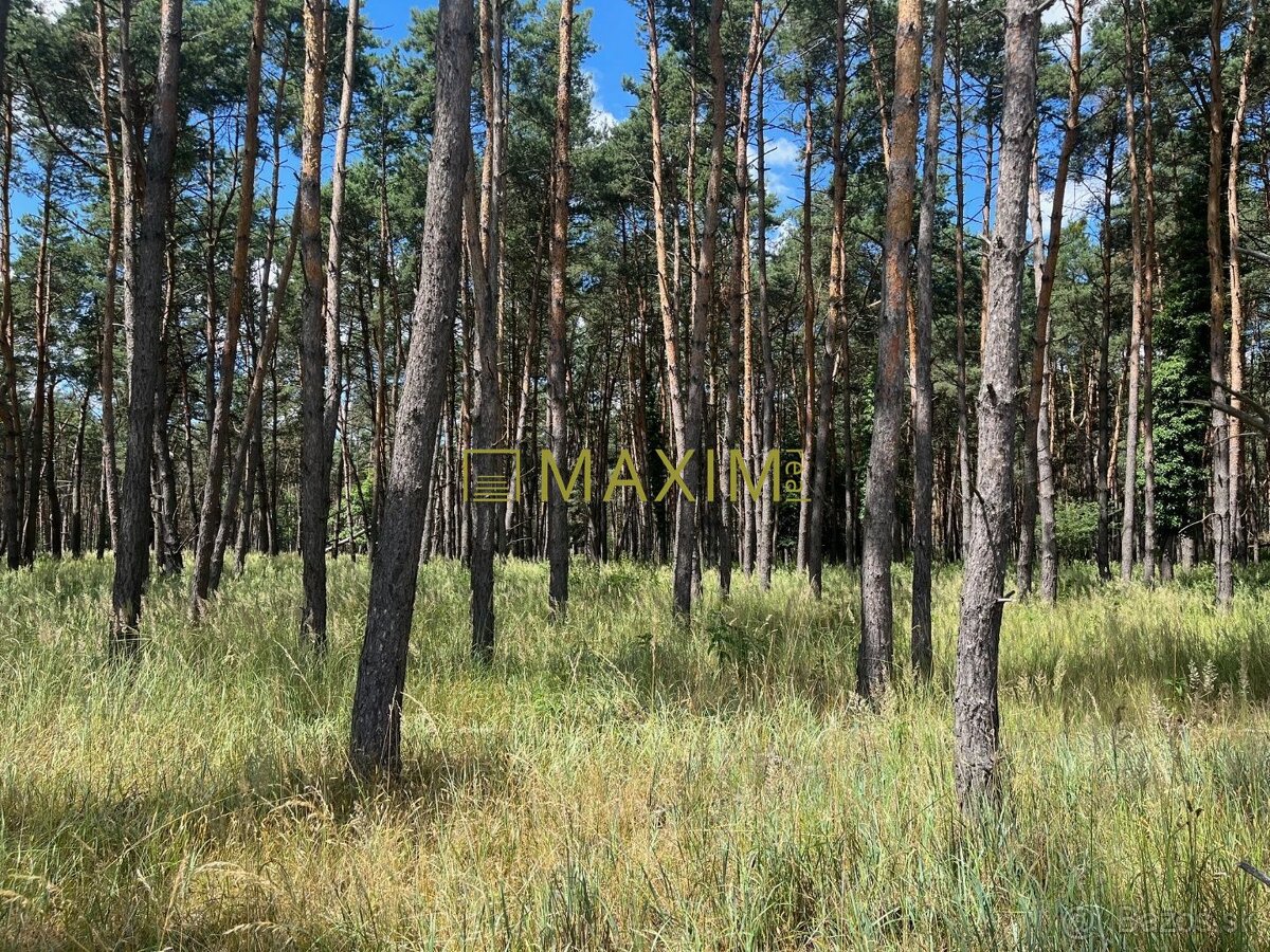 Lúka pod lesom v Jablonovom - 7