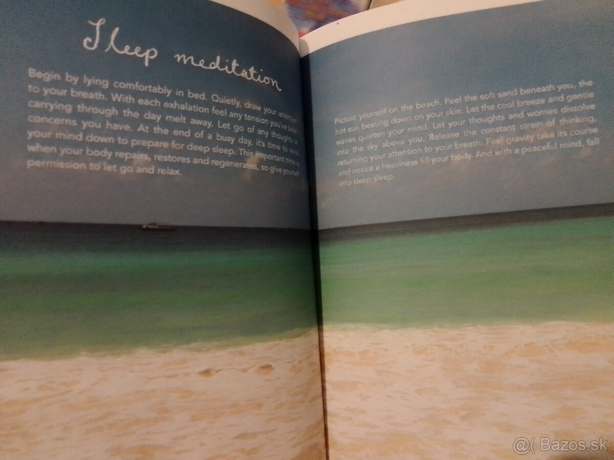 Knihy- mačky, zvieratá, levy, fínčina, Calm (v angličtine) - 7