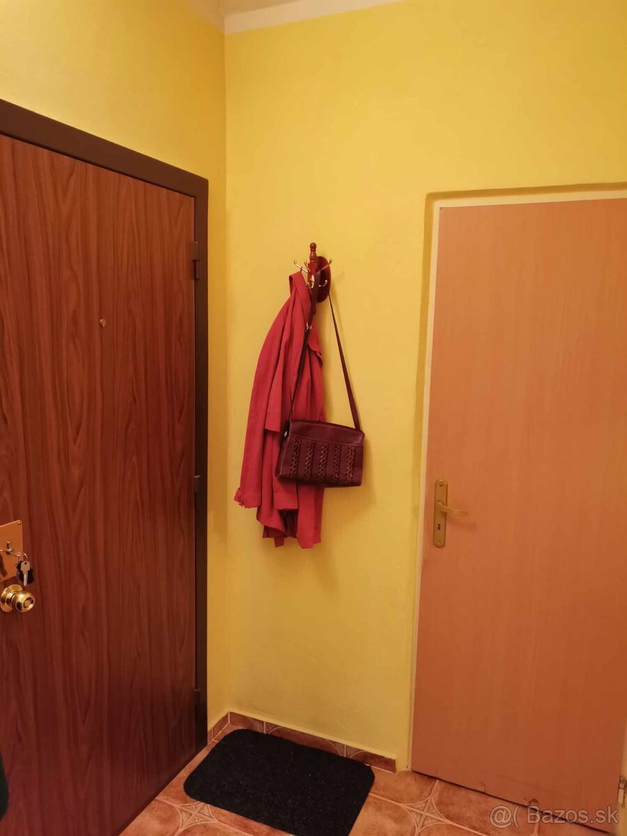 Veľký 2 izbový s loggiou - 7