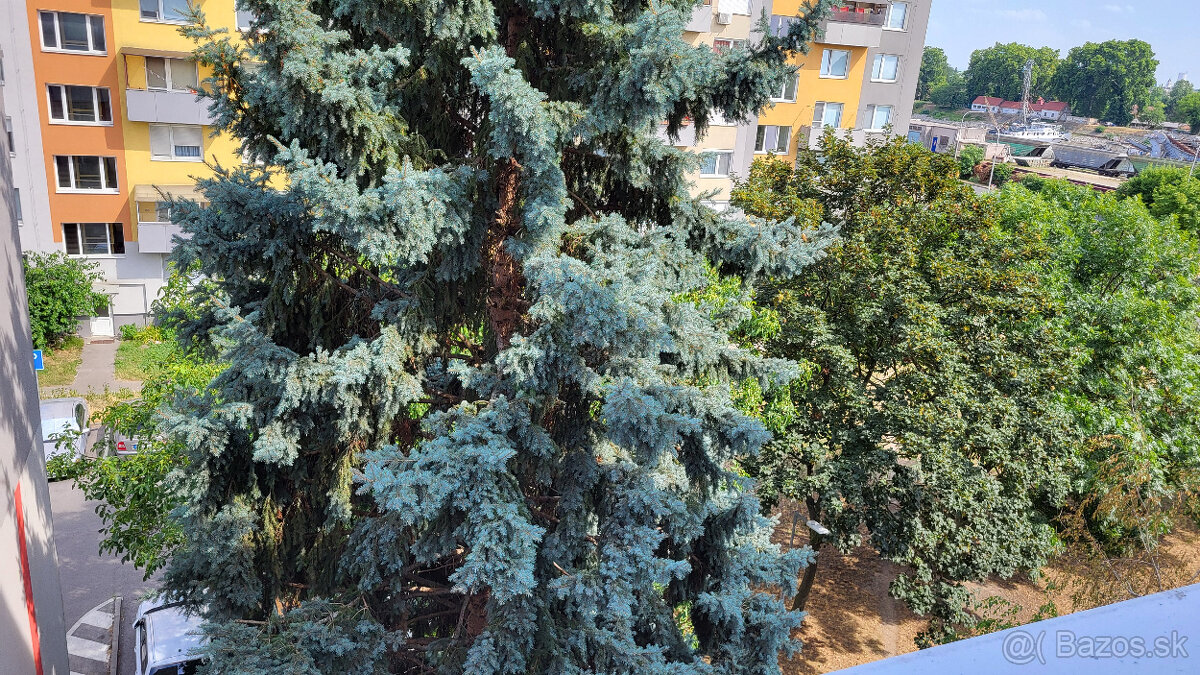 Predaj bytu v Komárne rezervovaný - 7