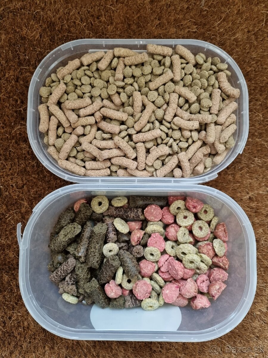 Všelico pre hlodavce - 7