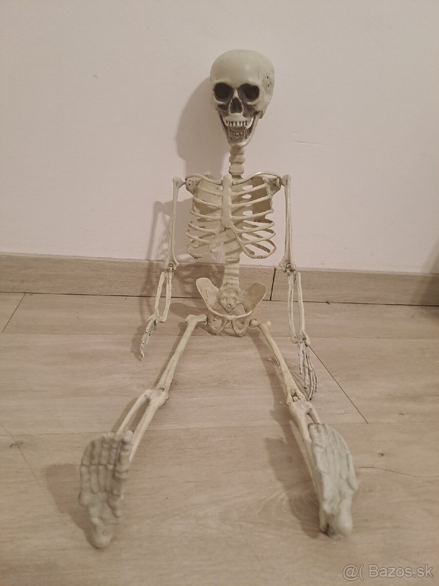 Jesenná a halloweenska výzdoba a dekoracie (tekvica,...) - 7