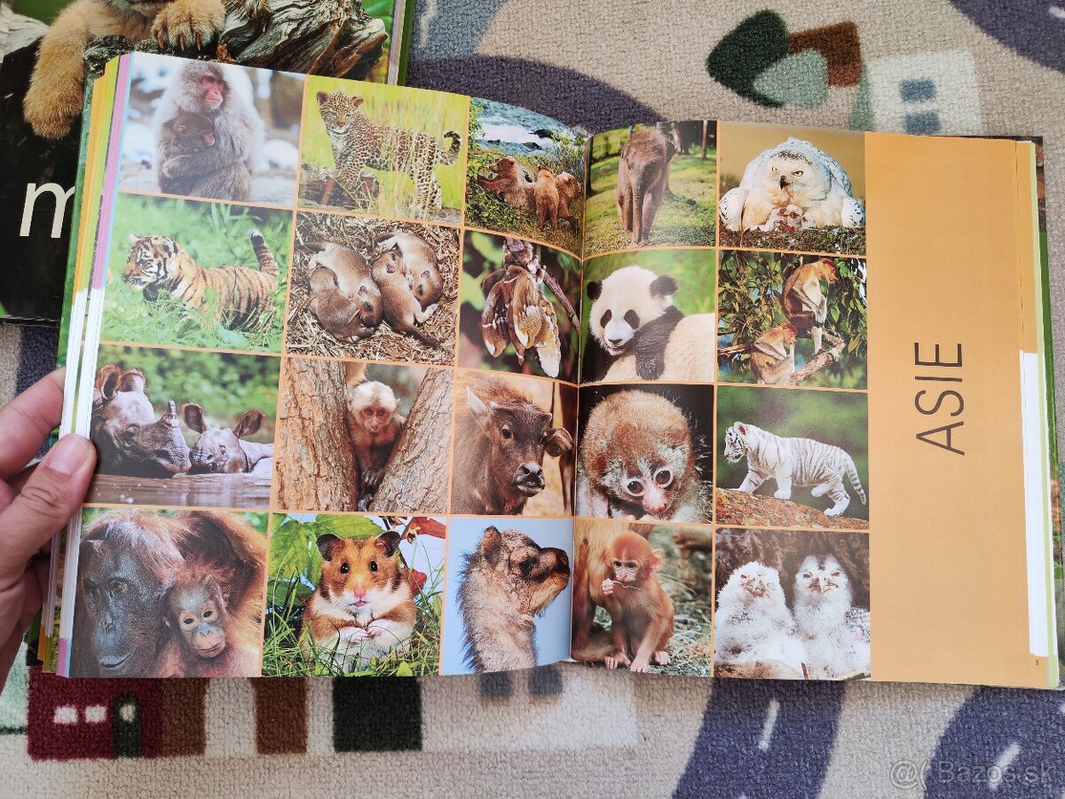 1000 mláďat (CZ) - 7