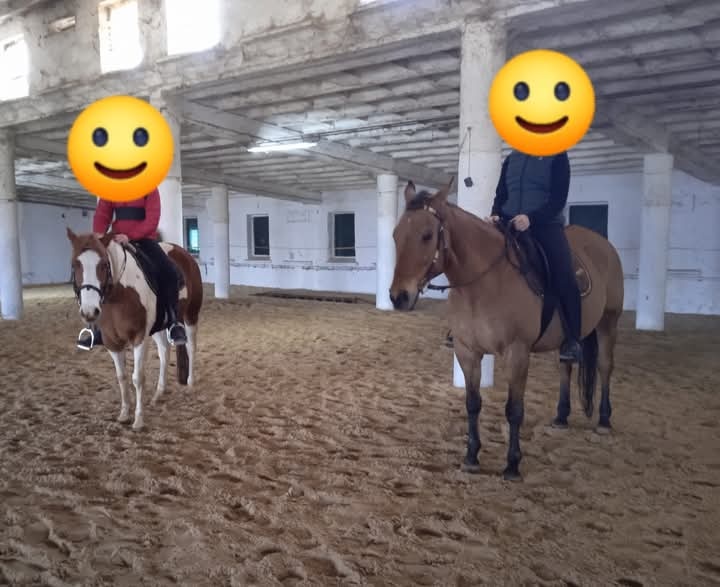 Boxové ustajnenie - 7