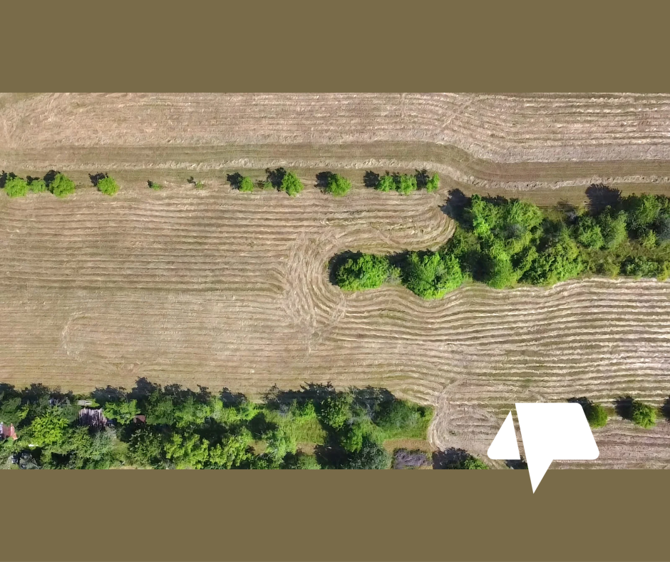 Predaj veľký stavebný pozemok Čaradice- 4899 m2 s platným st - 7