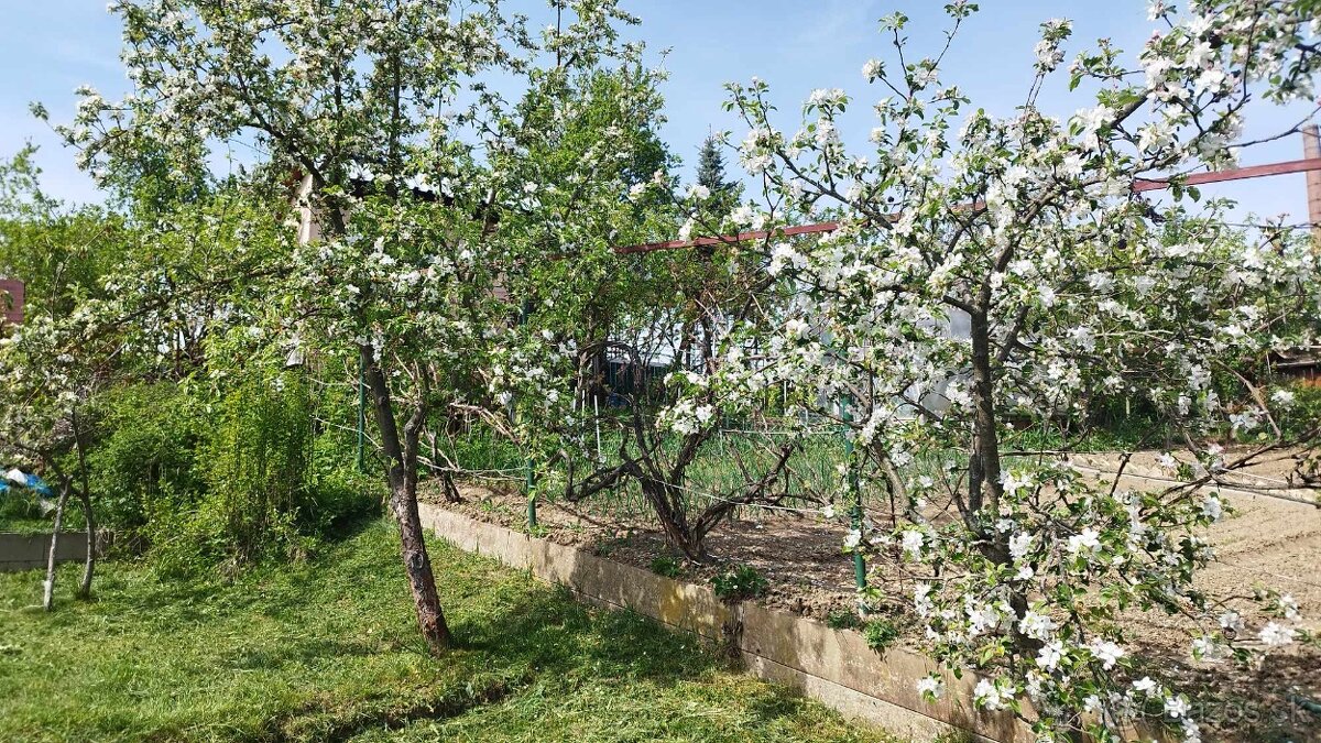 Predám záhradu v Poltári - 7